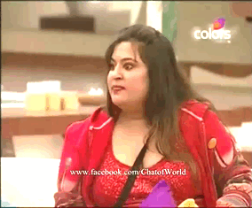 Bigg Boss Season 9: Everything You Should Know! Bigg Boss Season 9: Everything You Should Know!