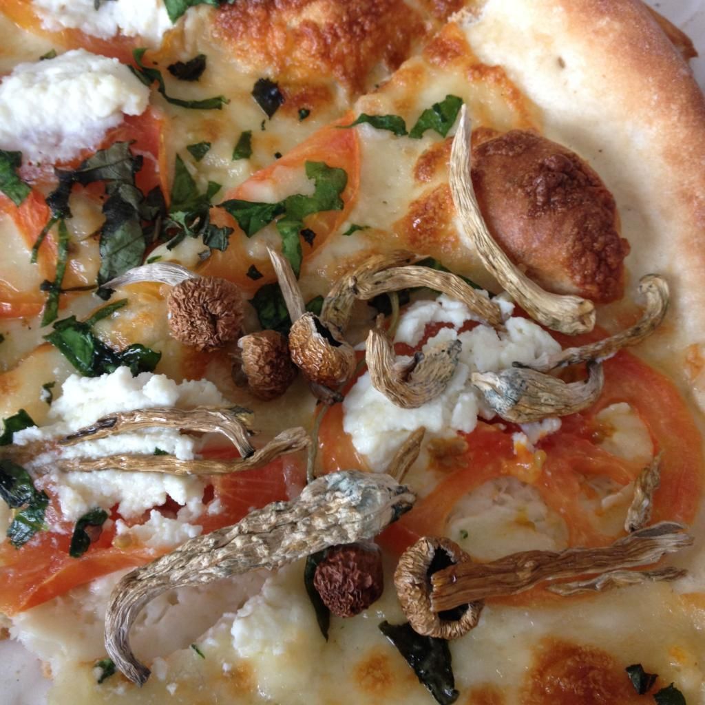 8B0C8188-9DA6-45CE-8C01-B00B70DD1E81_zps