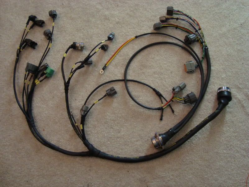 harness.jpg