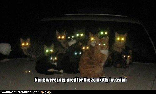 funny-cat-pictures-lolcats-zomkitties.jpg