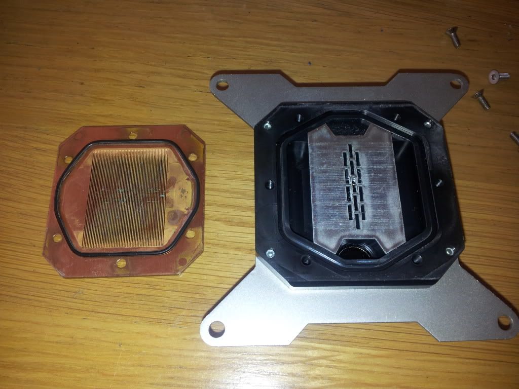 20120301_104831.jpg