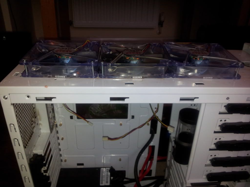 20120304_155206.jpg