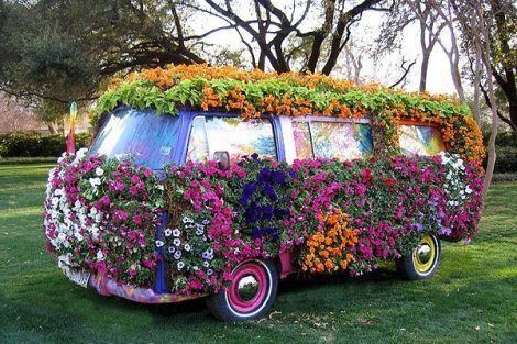 photo catnipflowerbus_zpsafc7b686.jpg