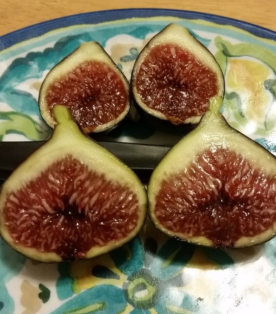  photo 20161013_213844_zpsm60zmiqr.jpg