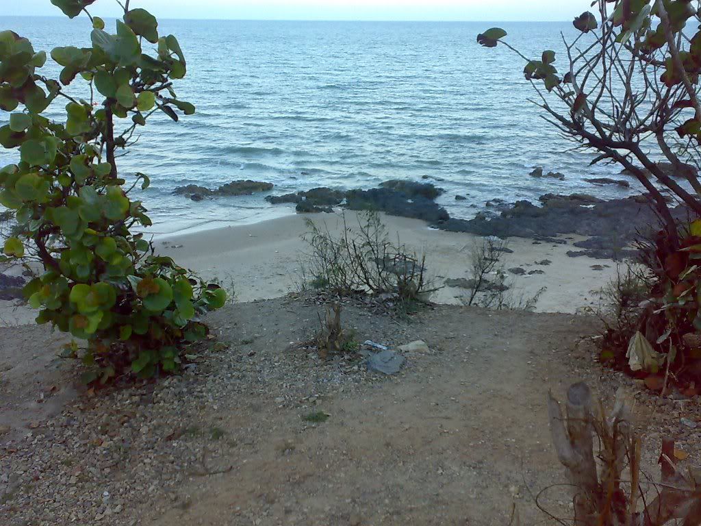 topic về những hình ảnh chụp bằng điện thoại di động - 16