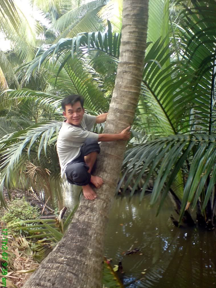 topic về những hình ảnh chụp bằng điện thoại di động - 12