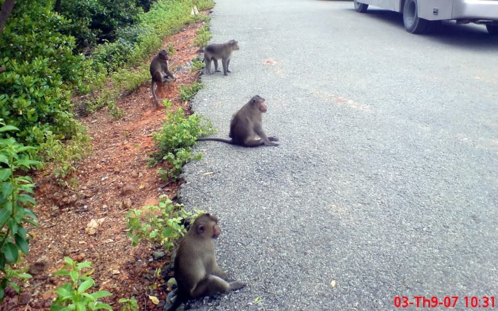 topic về những hình ảnh chụp bằng điện thoại di động - 11