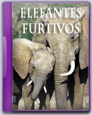 ElefantesFurtivos zps1d44045e - [VIDEOTECA] N.A.L.A. (Nuestros Amigos Los Animales)