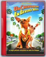 Chihuahua1 - [VIDEOTECA] N.A.L.A. (Nuestros Amigos Los Animales)