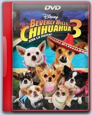 Chihuahua3 - [VIDEOTECA] N.A.L.A. (Nuestros Amigos Los Animales)