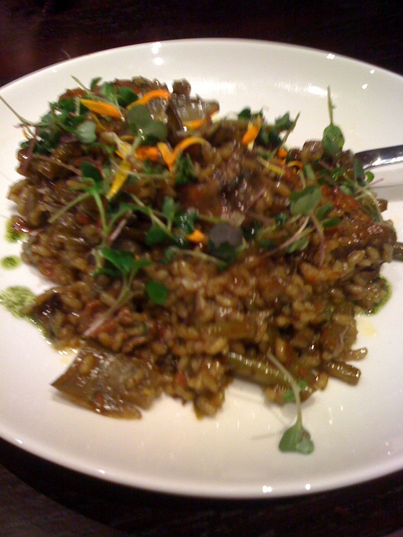 Valencian Paella at Jaleo Valencian Paella at Jaleo