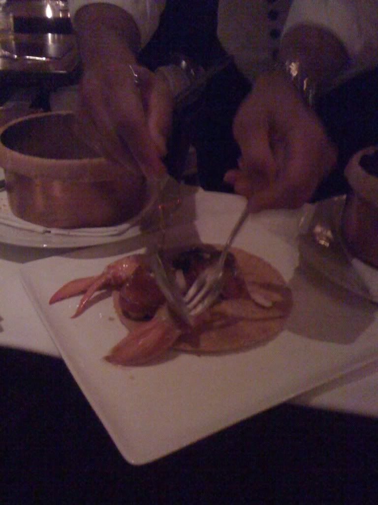 Leo Plating the Lobster Pot Pie Leo Plating the Lobster Pot Pie