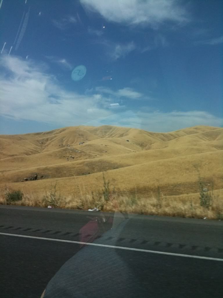 All of the Middle of California Looks Like This All of the Middle of California Looks Like This