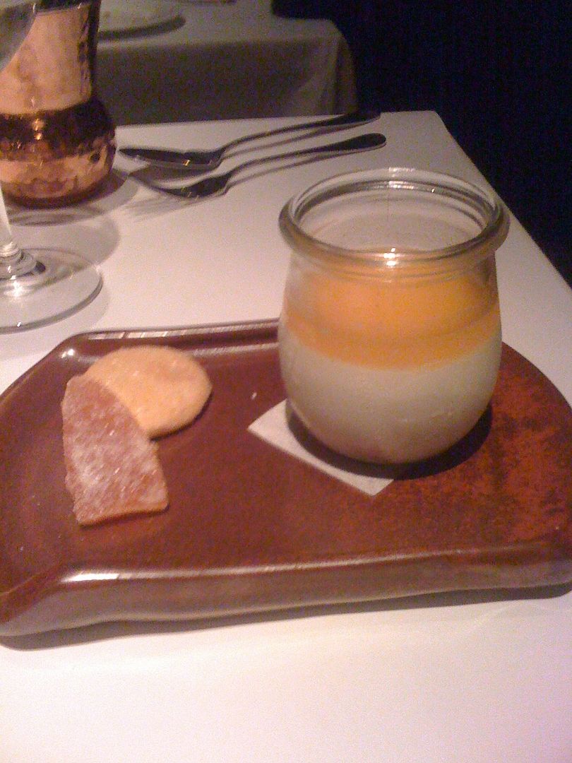 Panna Cotta, I think with Mango Purée Panna Cotta, I think with Mango Purée