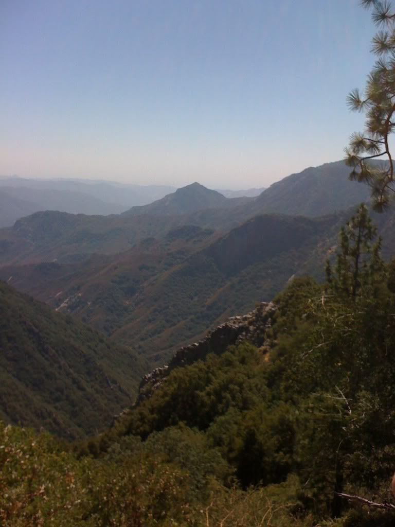 The view on the way up to the Big Ass Trees in Sequoia National Park The view on the way up to the Big Ass Trees in Sequoia National Park