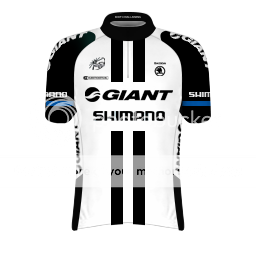 i1008.photobucket.com/albums/af210/poiup11/giantshimano.png